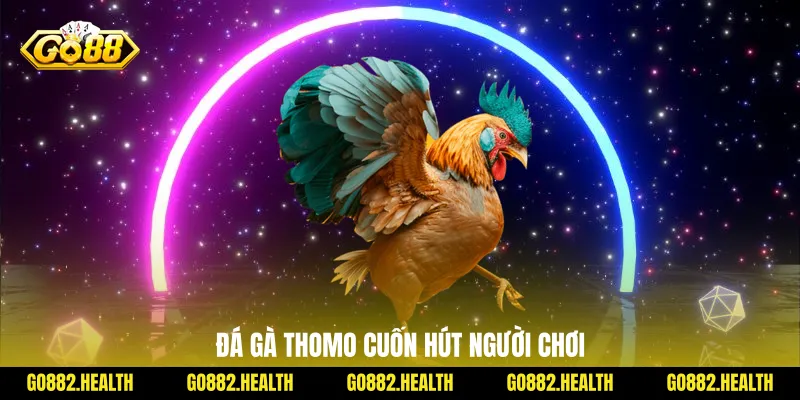 Đá gà Thomo cuốn hút người chơi
