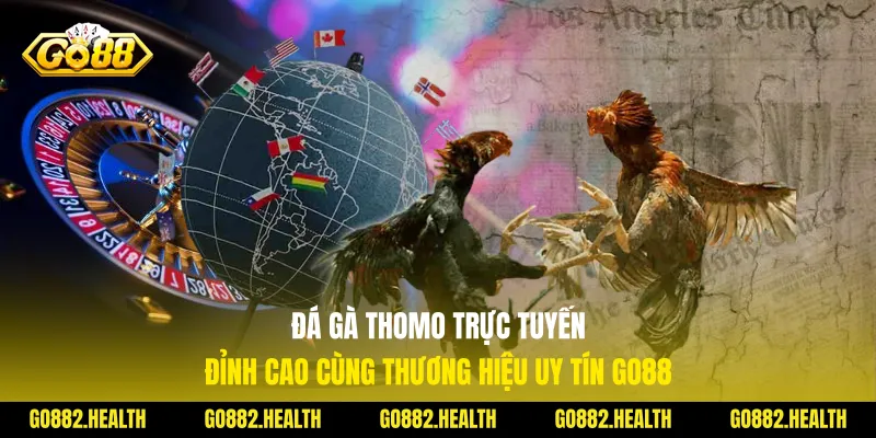 Đá Gà Thomo Trực Tuyến Đỉnh Cao Cùng Thương Hiệu Uy Tín Go88