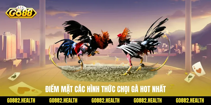 Điểm mặt các hình thức chọi gà hot nhất