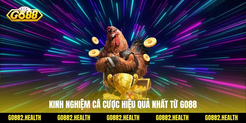 Kinh nghiệm cá cược hiệu quả nhất từ Go88