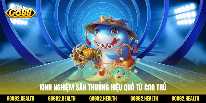 Kinh nghiệm săn thưởng hiệu quả từ cao thủ