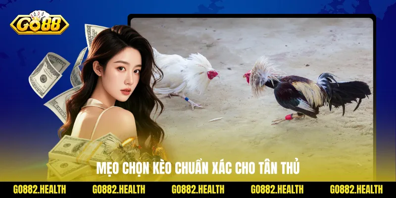 Mẹo chọn kèo chuẩn xác cho tân thủ